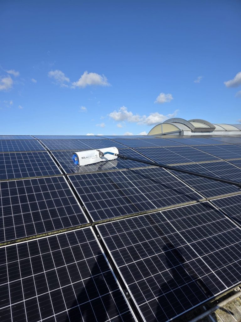Saubere PV-Module nach einer Reinigung durch Phasenwerk.